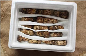 松茸的清洗与保存