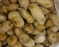 輸出級SS級1000 gバルク