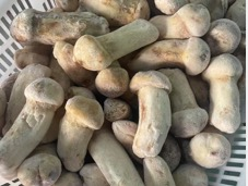 輸出級M級1000 gバルク