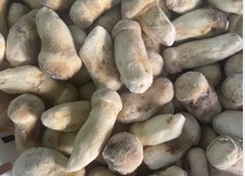 輸出級S級1000 gバルク