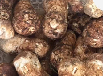 松茸烹饪的科学：为什么高端厨师拒绝水洗？